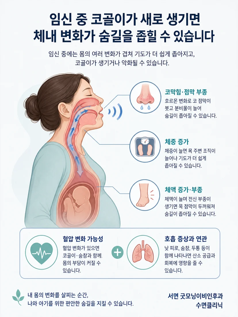 임신 중 코와 상기도가 좁아져 코골이가 생기는 원리 설명