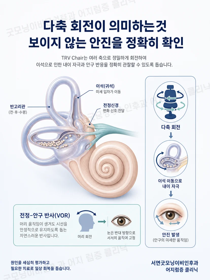 여러 회전축을 조합해 머리 자세를 재현하는 원리 도식