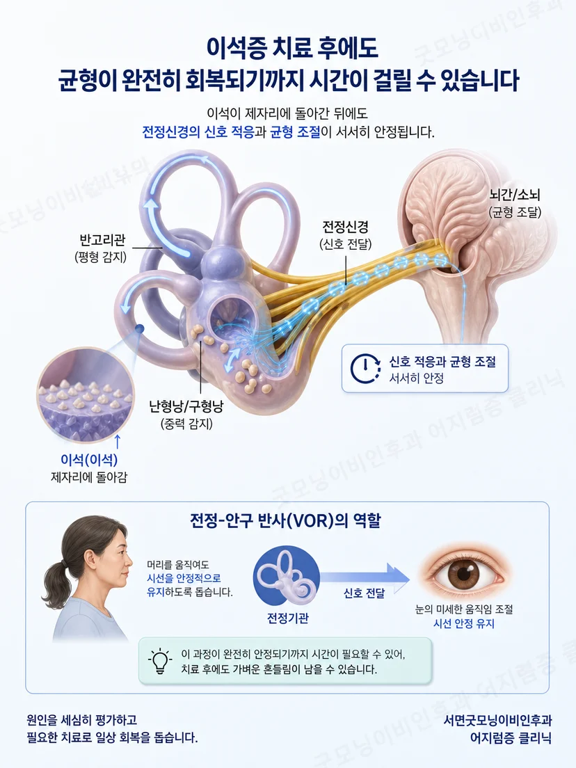 머리 움직임과 시각 및 몸 감각이 균형에 관여하는 원리