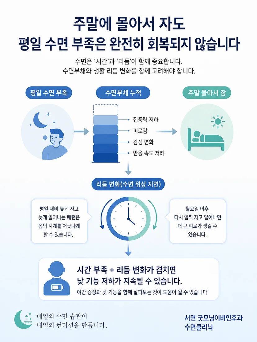 수면부채와 취침 기상 리듬의 상호작용을 설명하는 이미지