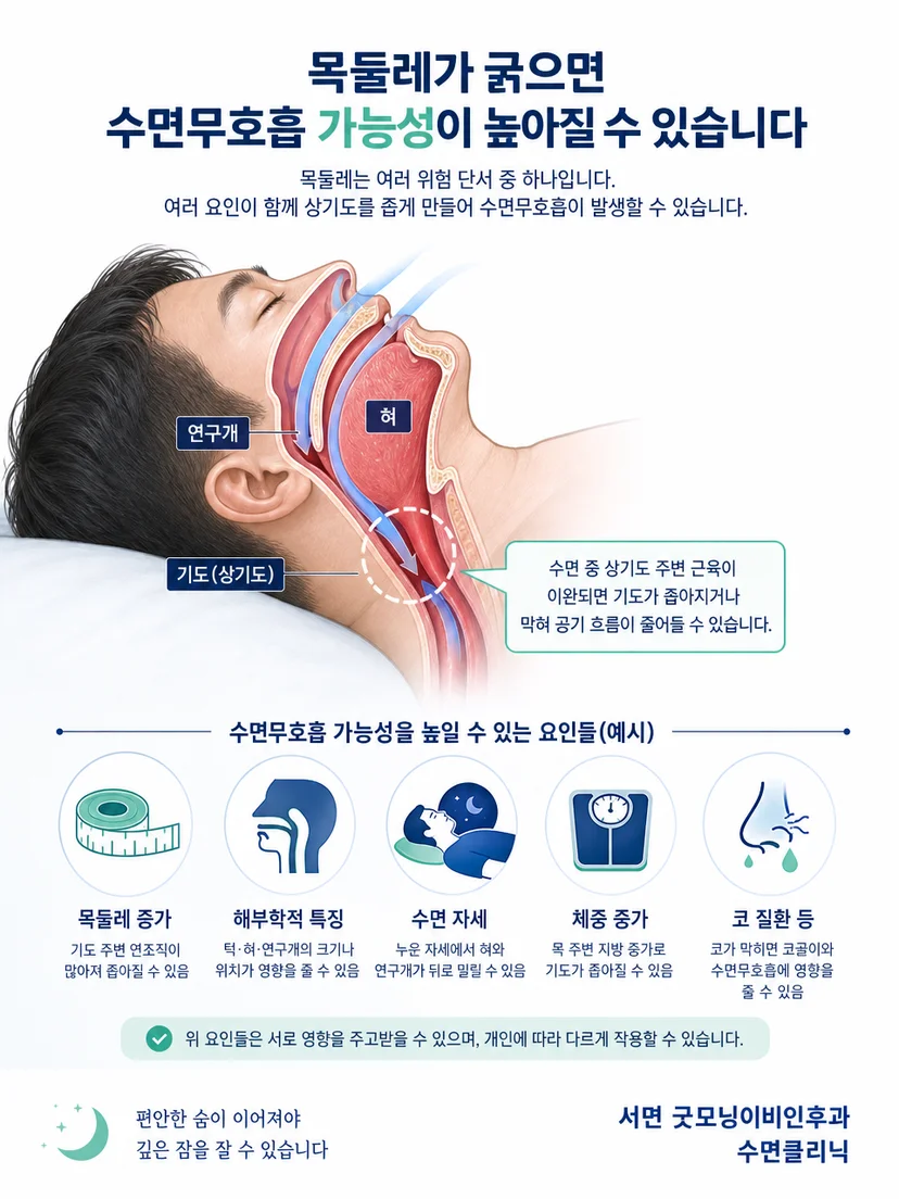 수면 중 혀와 연구개 위치에 따라 상기도 단면이 달라지는 원리