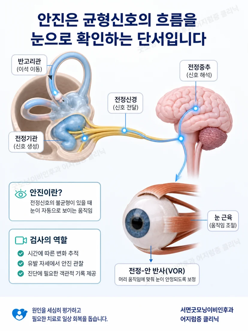 안진의 방향과 자세별 변화를 관찰하고 기록하는 원리