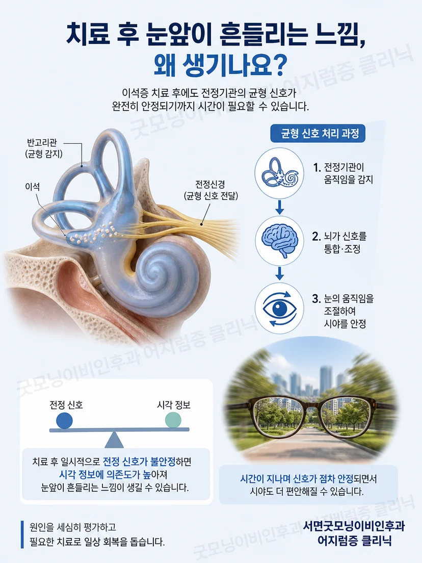 머리 움직임과 시선 및 균형 적응의 관계를 보여주는 설명