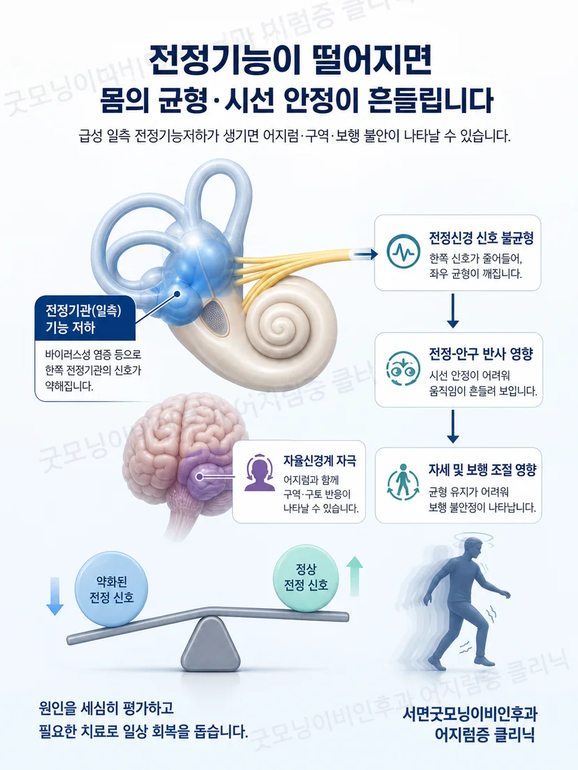 좌우 전정 신호 불균형과 자세 조절 원리