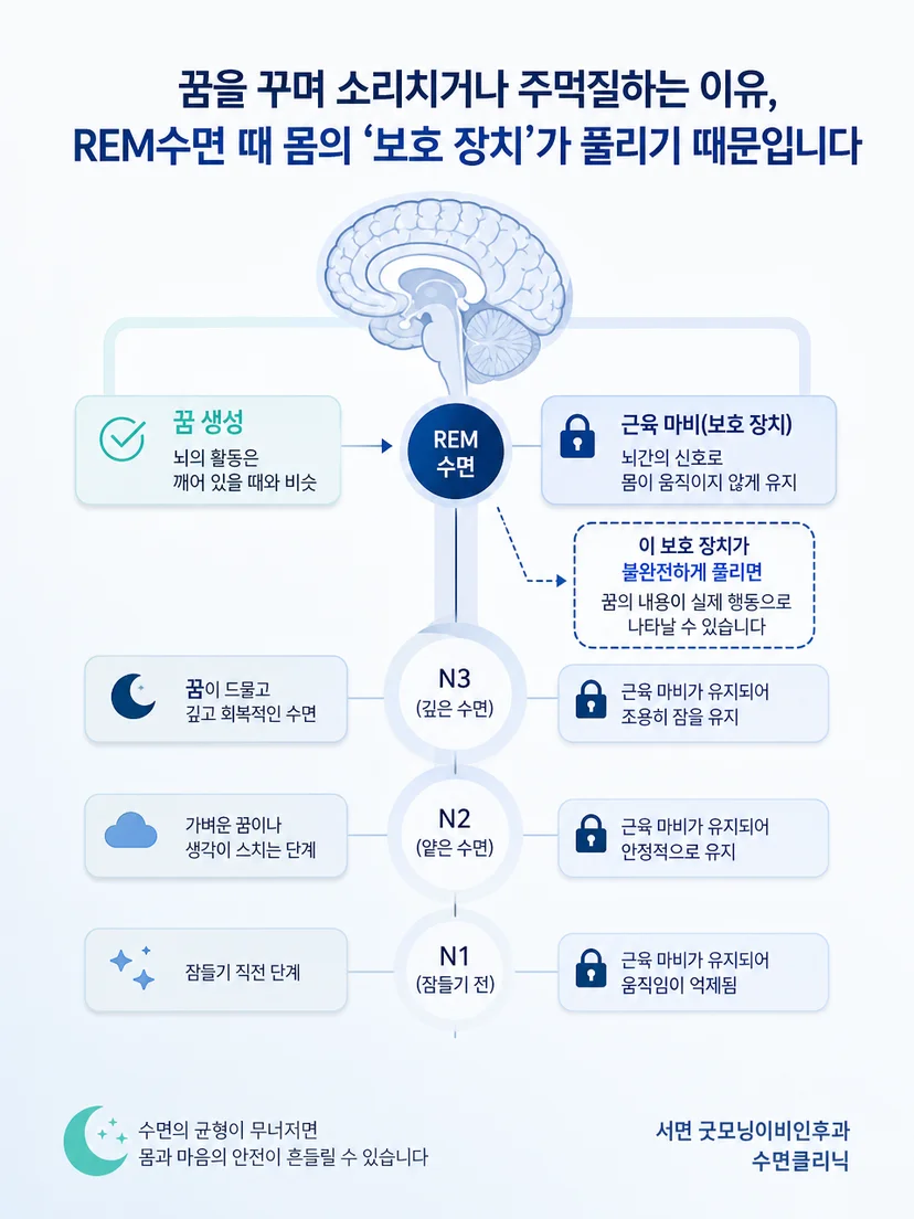 수면 단계에 따라 꿈과 몸의 움직임이 달라지는 원리를 설명한 이미지
