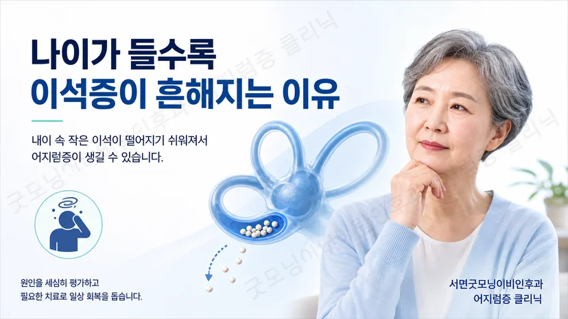 나이가 들면서 이석증 발생 가능성이 달라지는 이유를 설명하는 그림