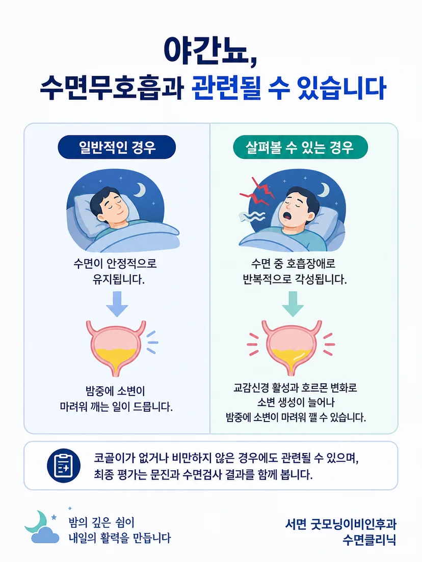 야간뇨 단독 증상과 동반 수면 증상을 구분해 살펴보는 이미지