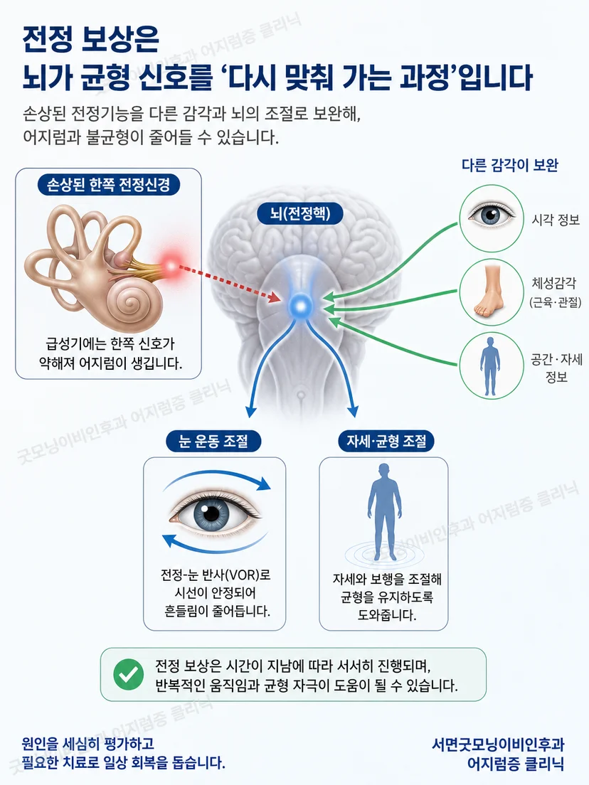 전정기관과 시각 및 몸 감각이 균형 조절에 참여하는 원리