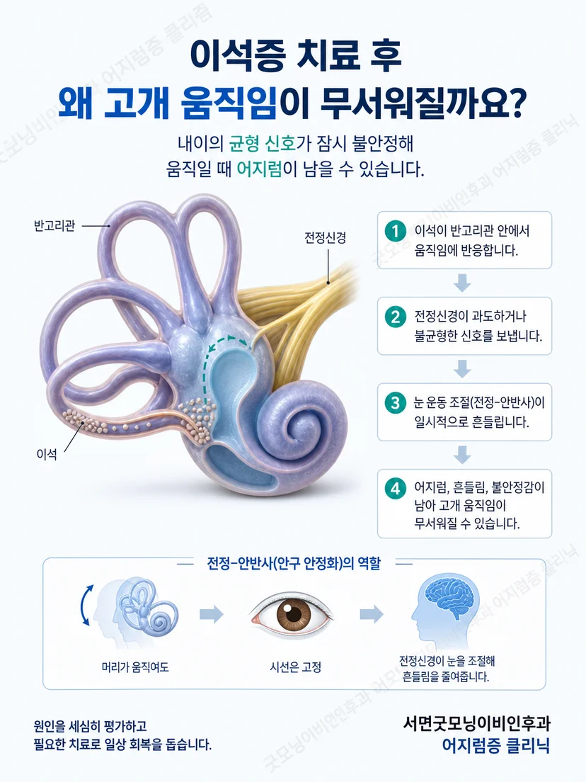 움직임 회피와 균형 적응의 관계를 설명하는 교육 그림