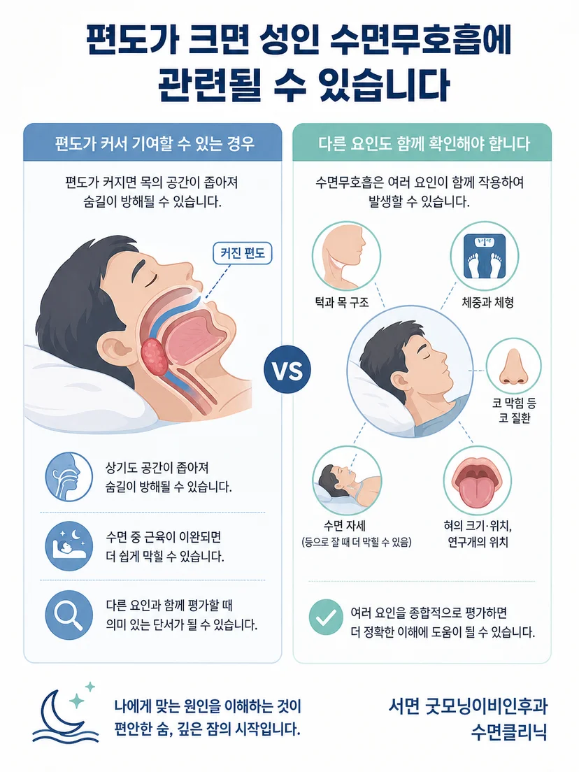 큰 편도라는 위험요인과 수면무호흡 진단의 차이 설명