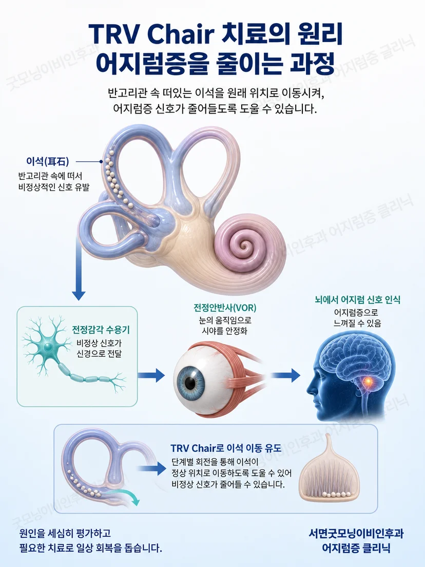 반고리관 방향에 맞춰 자세를 재현하는 TRV Chair 원리