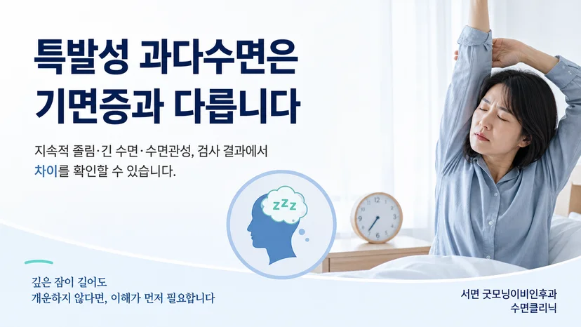특발성 과다수면과 기면증의 주요 차이를 설명하는 대표 이미지