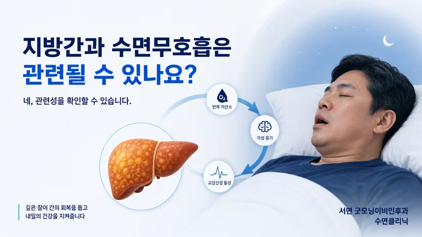 지방간과 수면무호흡의 연관성을 설명하는 핵심 개념 이미지