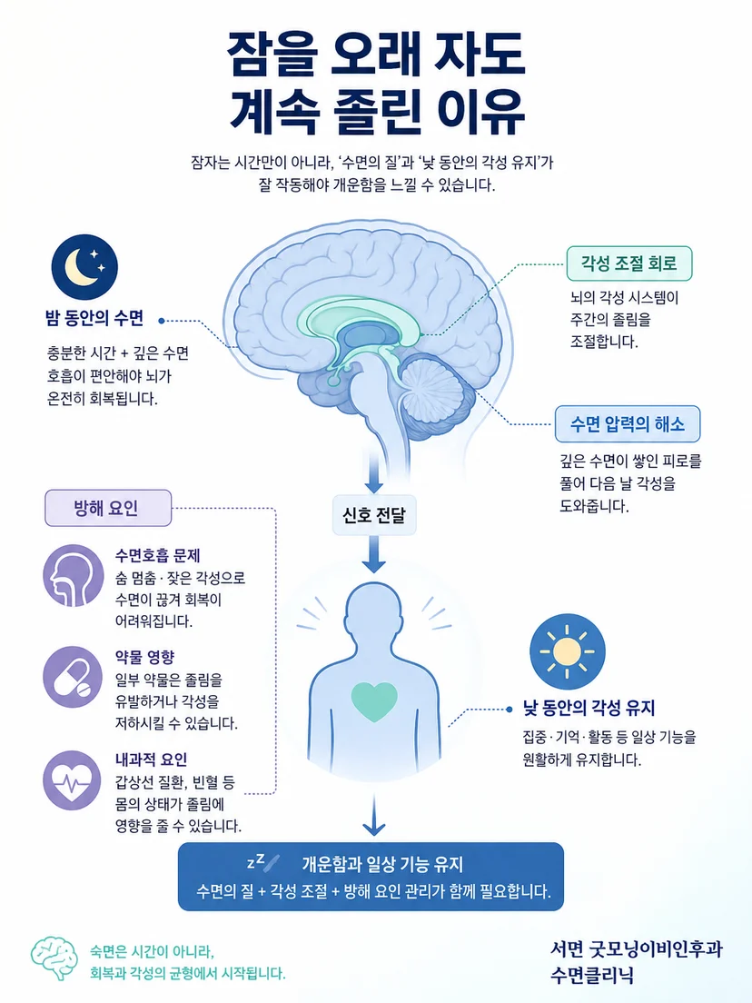 수면시간과 수면 중 호흡이 낮 졸림에 미치는 과정