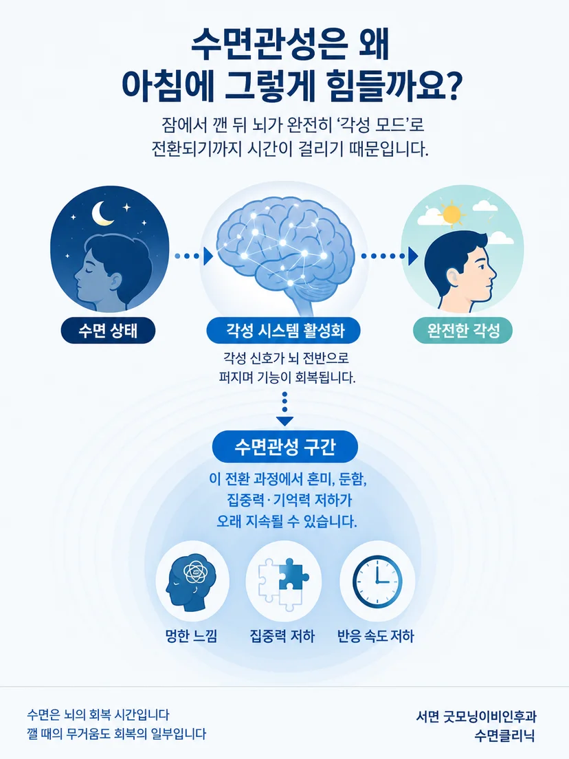 수면에서 각성으로 점차 전환되는 수면관성의 원리