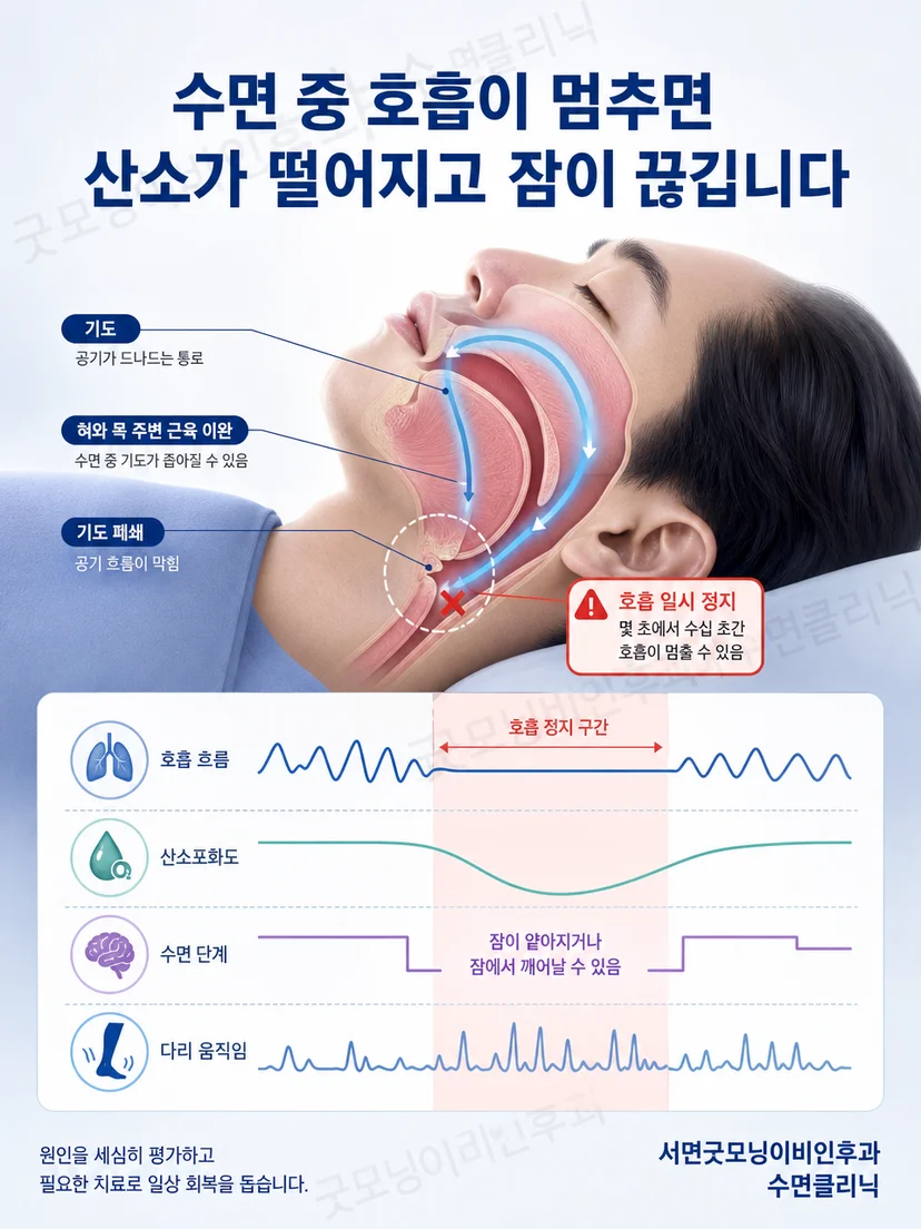 카페인과 알코올이 수면과 각성에 미치는 차이를 설명하는 그림