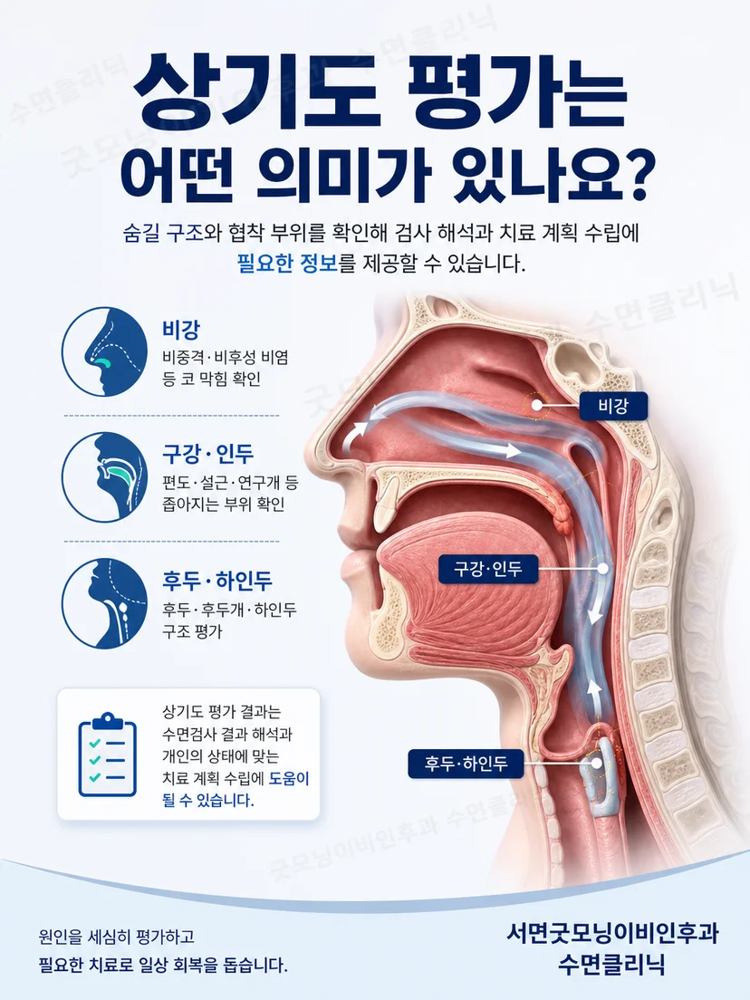 코와 구강 인두 혀뿌리 부위의 상기도 구조 설명