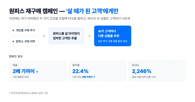 원피스 재구매 캠페인 구조 — 개인별 구매 주기와 원피스 구매 이력을 조합한 타깃팅과 AI 개인화 추천, 클릭률 22.4% ROAS 2,246%