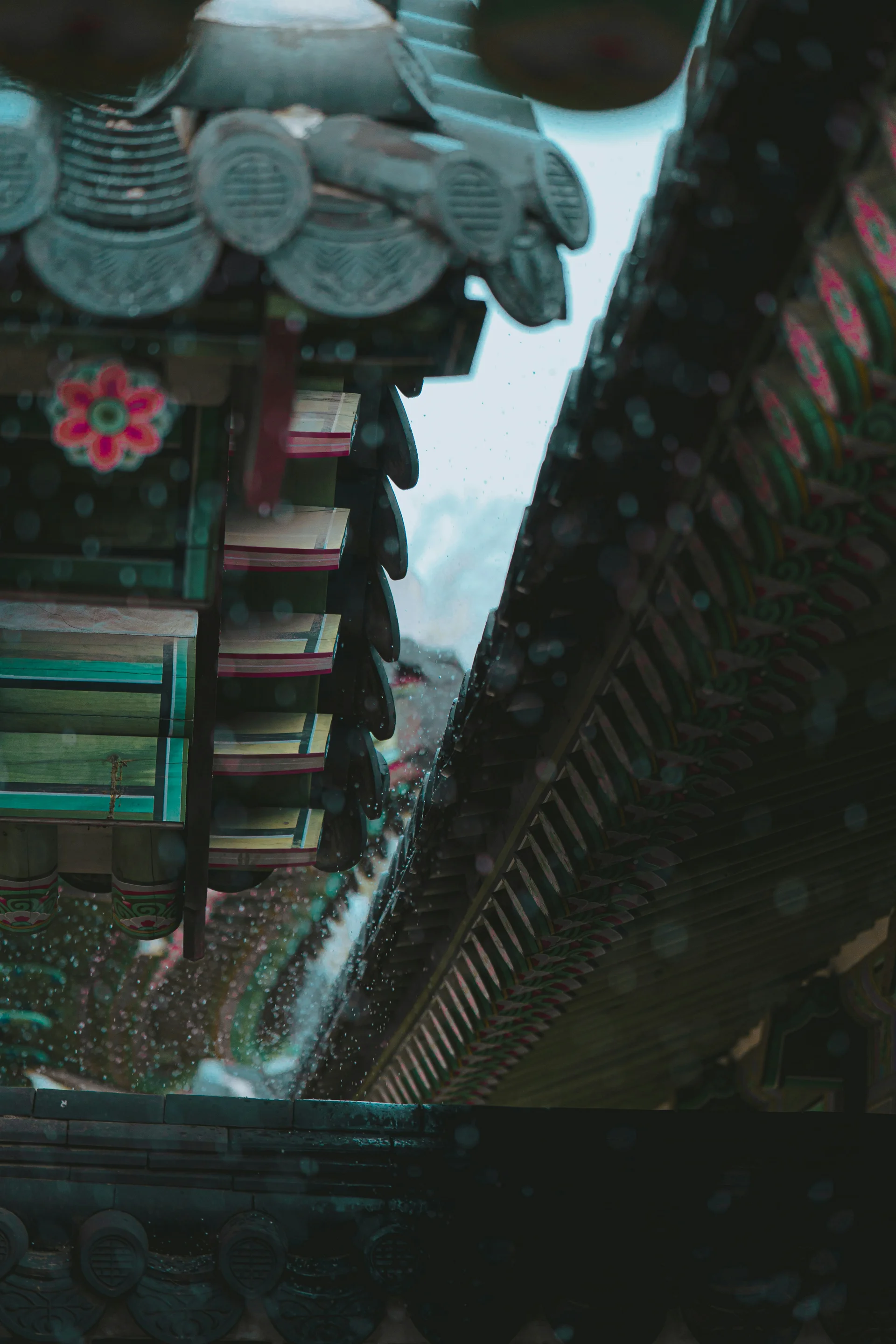 Tiled roofs of a traditional Korean Buddhist temple surrounded by nature, showcasing the serene architecture of Korean sacred places