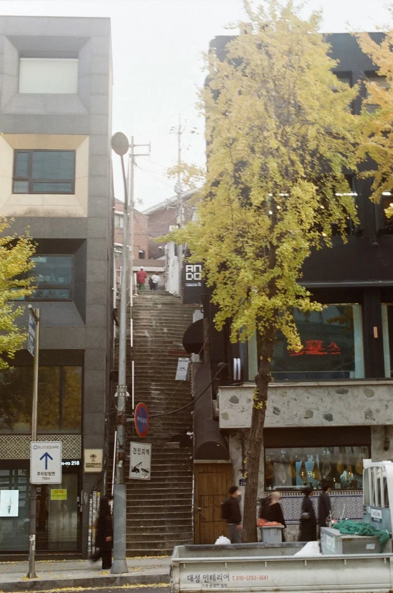 Tree-lined street in Itaewon, Seoul, with cafes and international restaurants in the diverse neighborhood