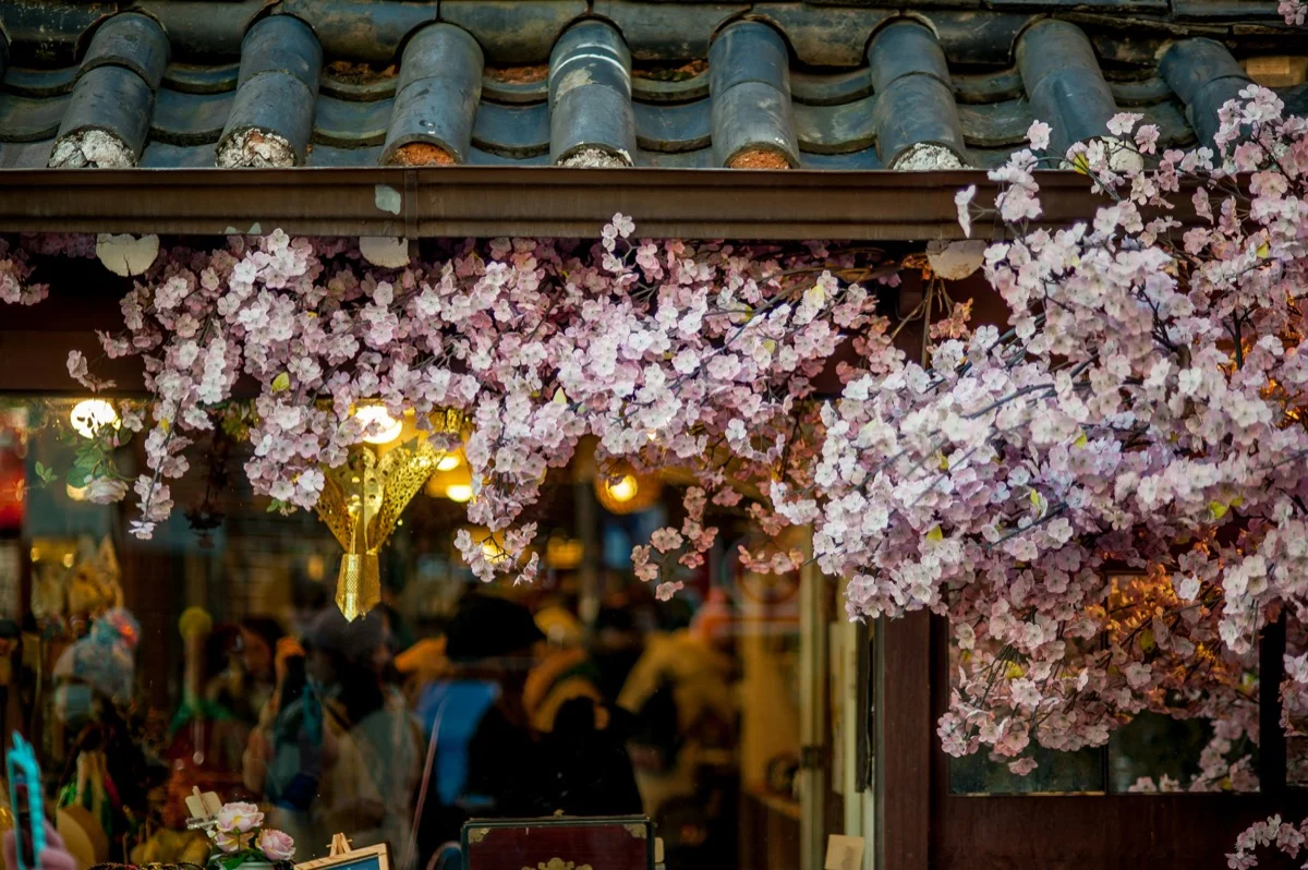 Cherry blossom petals on traditional Korean roof shingles