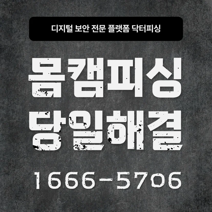 디지털 보안 전문 플랫폼 닥터피싱의 배너 이미지로, 몸캠피싱 당일해결이라는 큰 문구와 상담 전화번호 1666-5706이 표시되어 있다