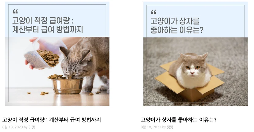 핏펫 블로그