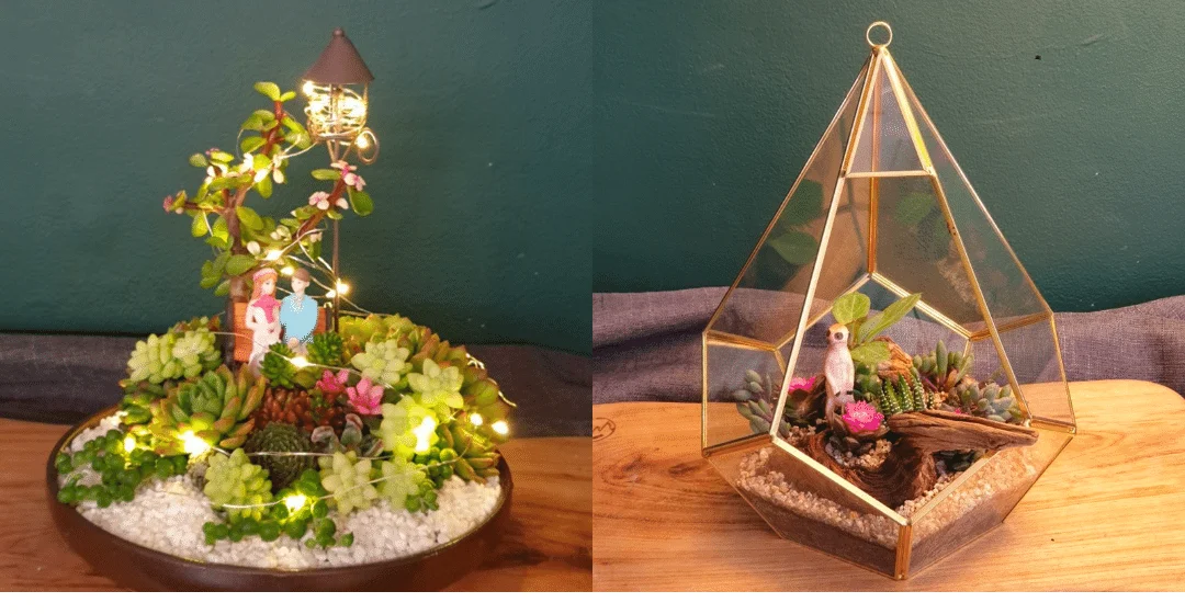 테라리움클래스