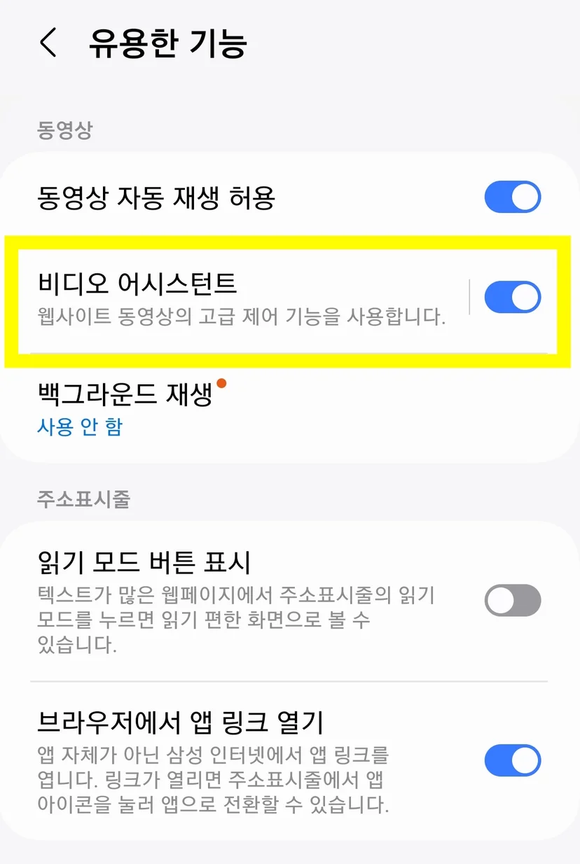 유용한 기능 → 비디오 어시스턴트 기능 활성화