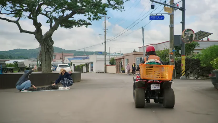 종달 논길