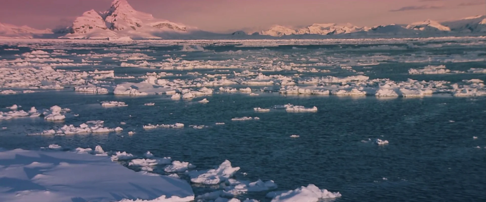 영화 <오이시맨>