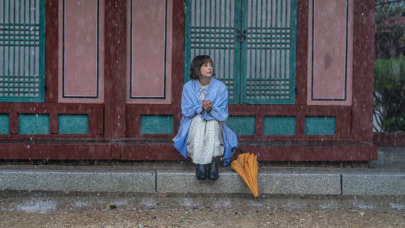 웨이브 드라마 <박하경 여행기>