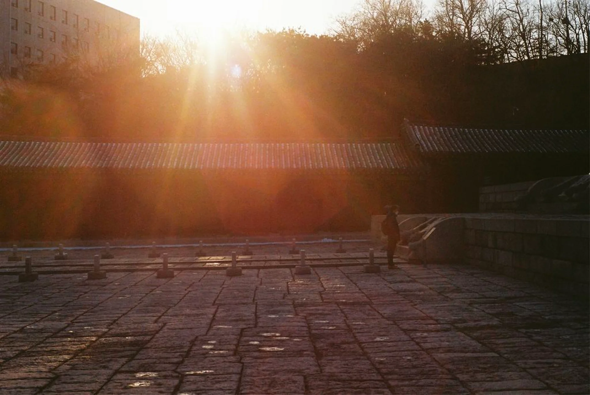 필름카메라 동호회