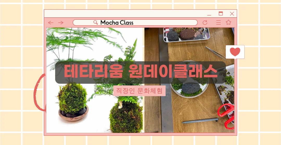 테타리움원데이클래스