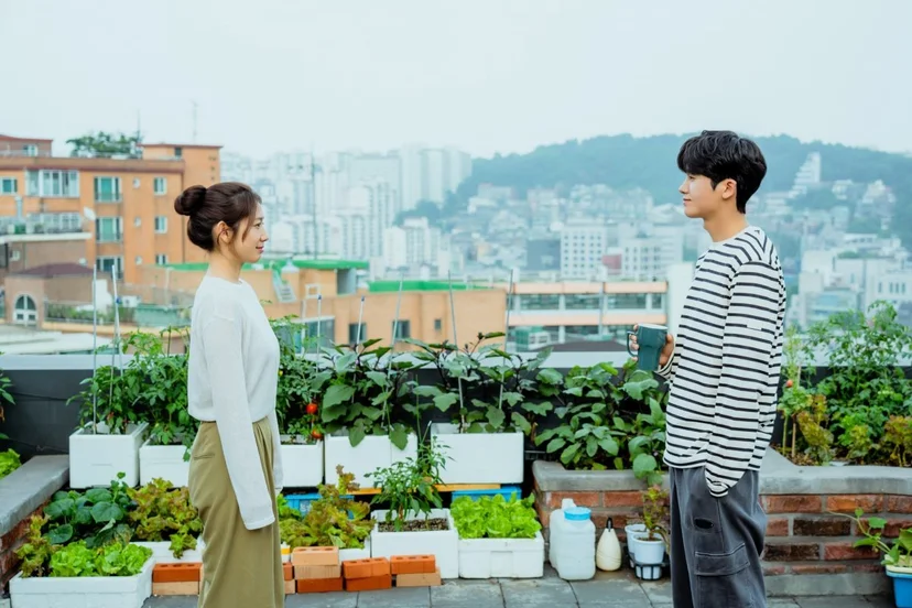 JTBC 토일 드라마 <닥터슬럼프>