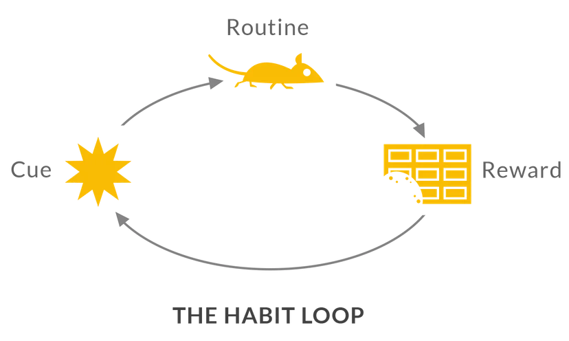 An infographic illustrating the habit loop (cue, routine, reward) to visually summarize the concept for readers.