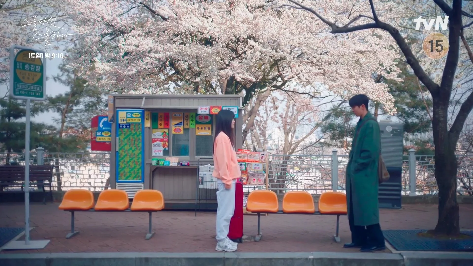 드라마 <스물다섯 스물하나> 속 벚꽃 명장면, 벚꽃 촬영지, 벚꽃 명소