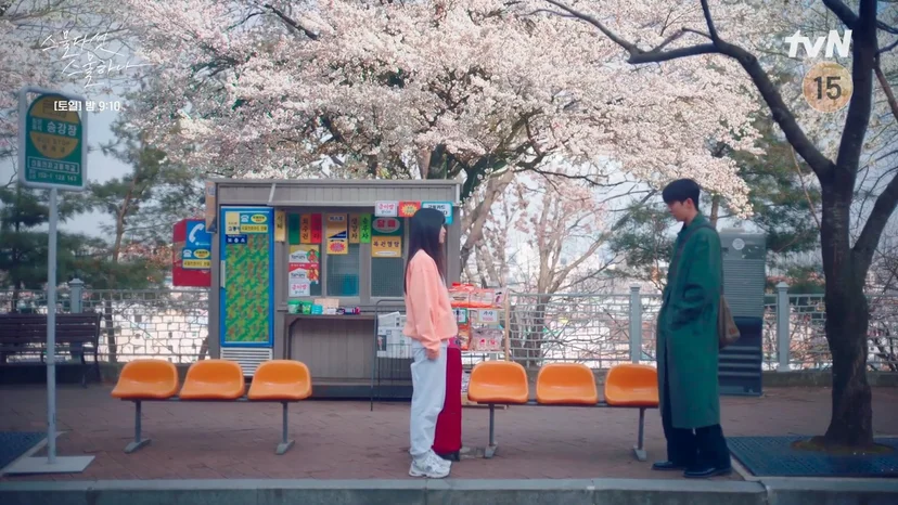 드라마 <스물다섯 스물하나> 속 벚꽃 명장면, 벚꽃 촬영지, 벚꽃 명소