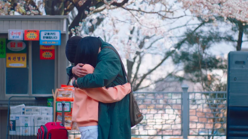 드라마 <스물다섯 스물하나> 속 벚꽃 명장면, 벚꽃 촬영지, 벚꽃 명소