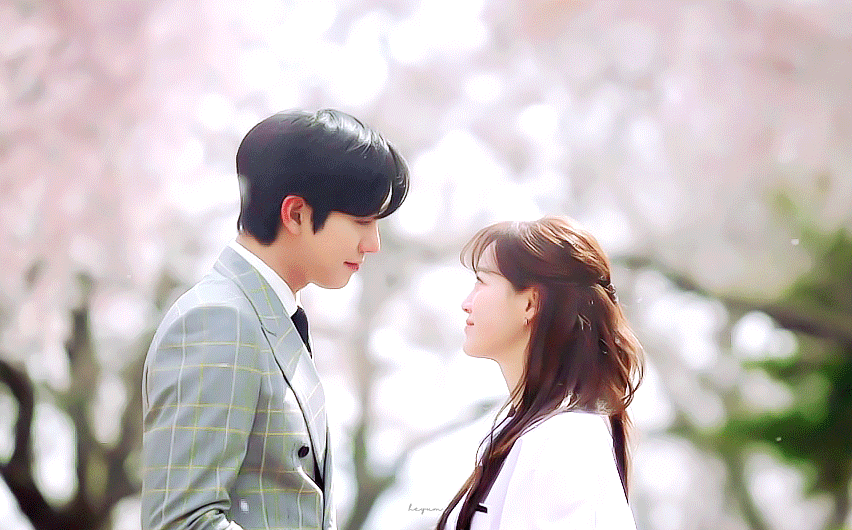 드라마 <사내맞선> 속 벚꽃 명장면, 벚꽃 촬영지, 벚꽃 명소