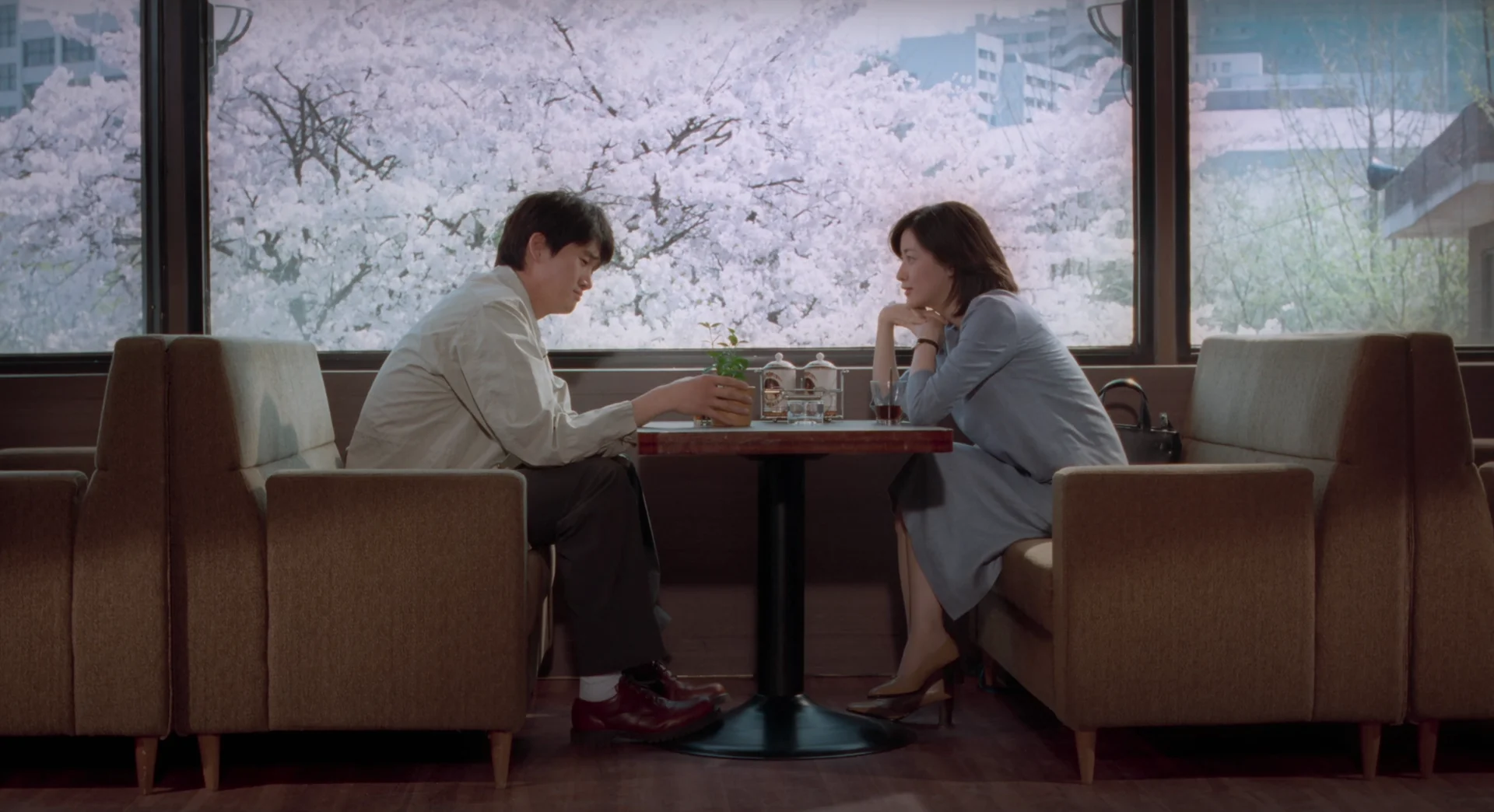 영화·드라마 속 벚꽃 명장면, 벚꽃 촬영지, 벚꽃 명소 <봄날은 간다>