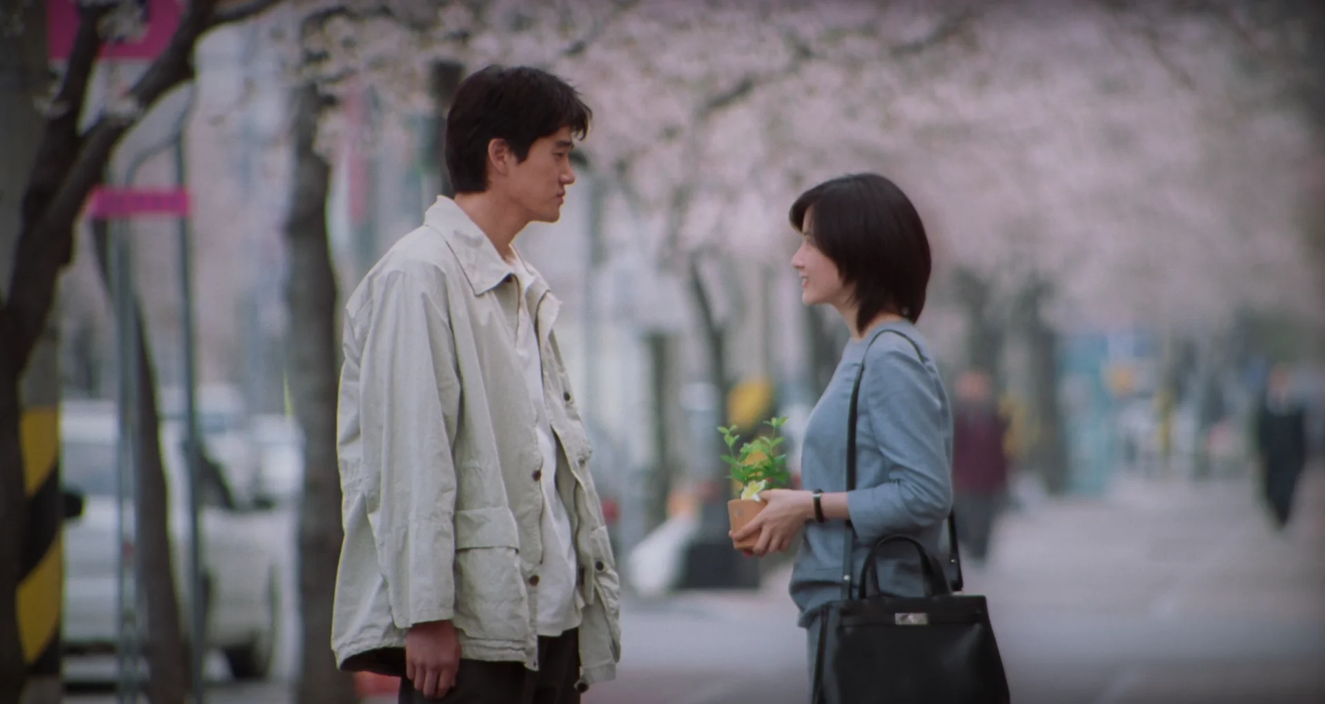 영화·드라마 속 벚꽃 명장면, 벚꽃 촬영지, 벚꽃 명소 <봄날은 간다>