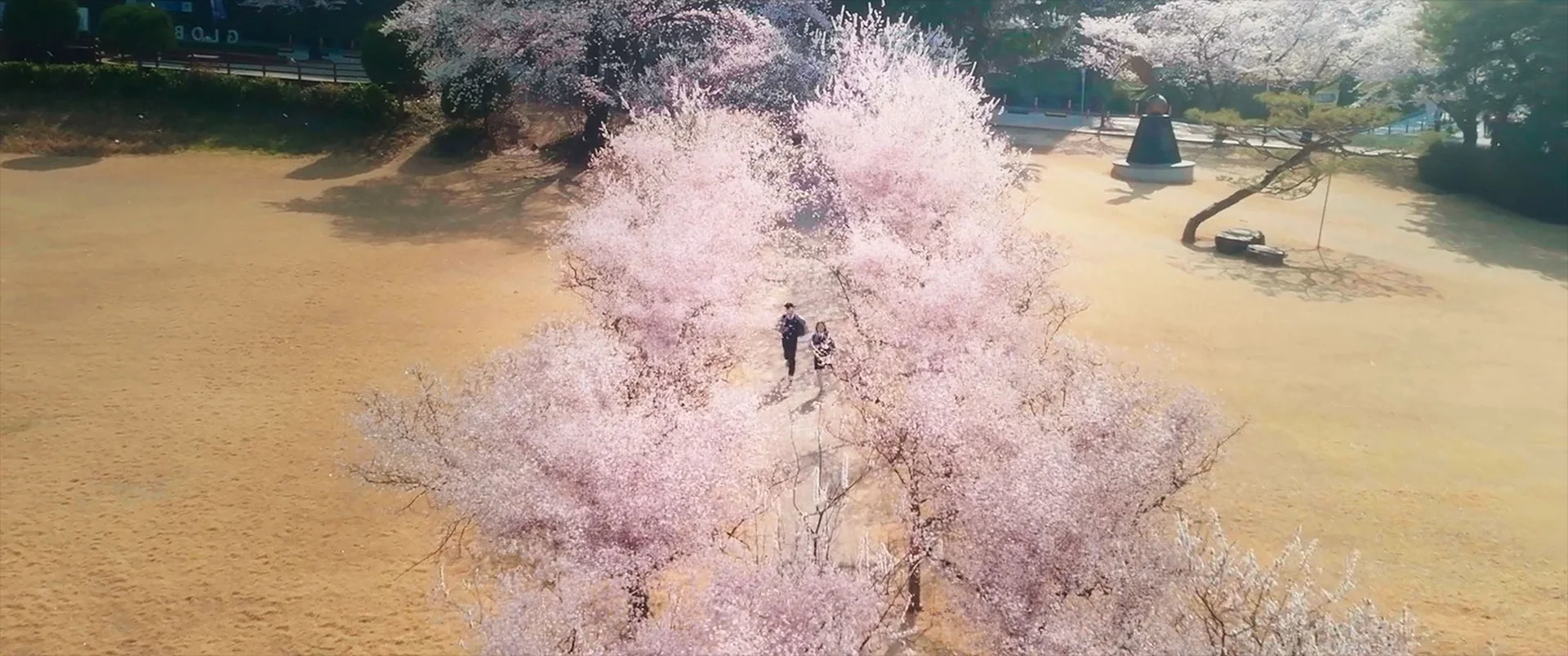 영화·드라마 속 벚꽃 명장면, 벚꽃 촬영지, 벚꽃 명소 <닥터슬럼프>