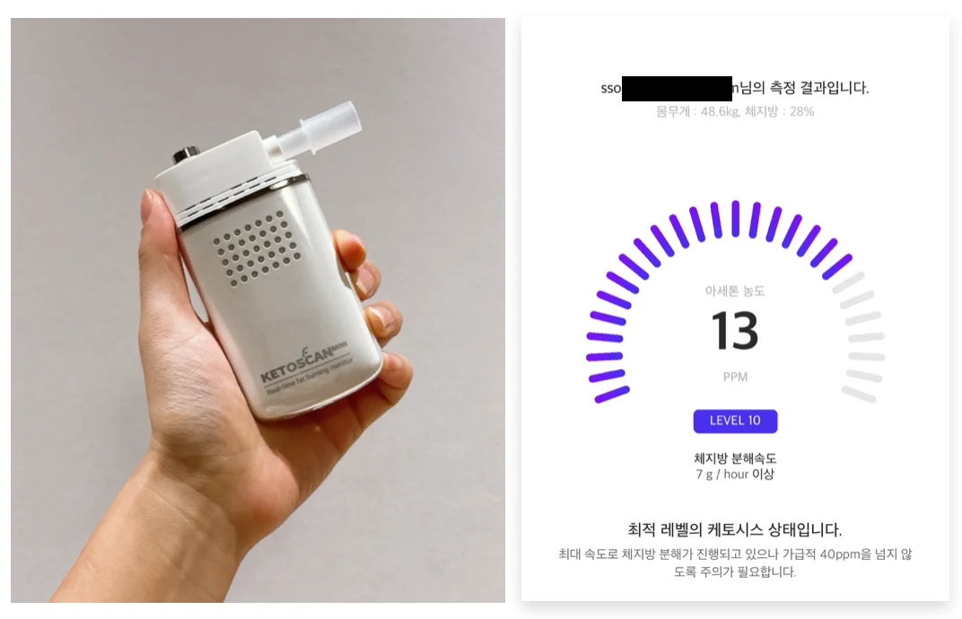 키토다이어트 케톤스캔 케토시스 키토다이어트