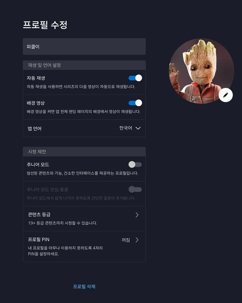 디즈니플러스 연령 제한 푸는 법