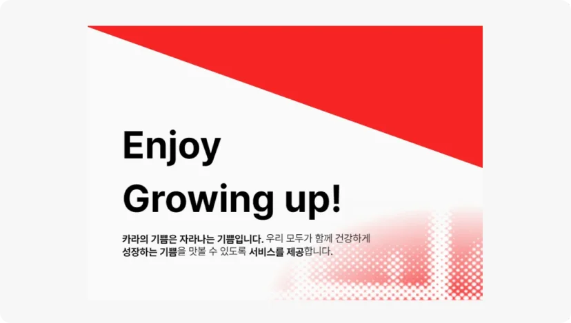 IT 외주