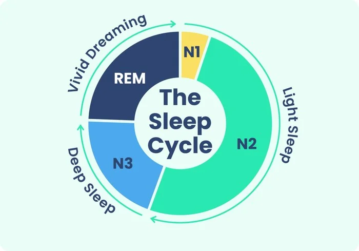 sleep stage