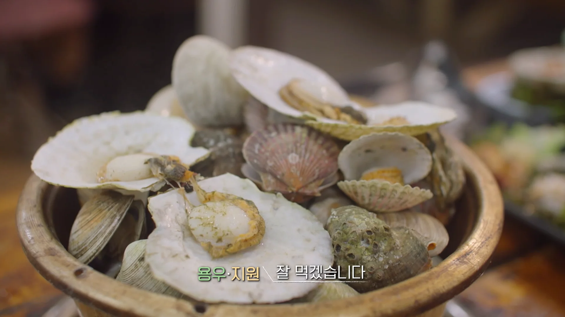 웨이브 연애남매 출연진 나이 직업 혈육 데이트 장소