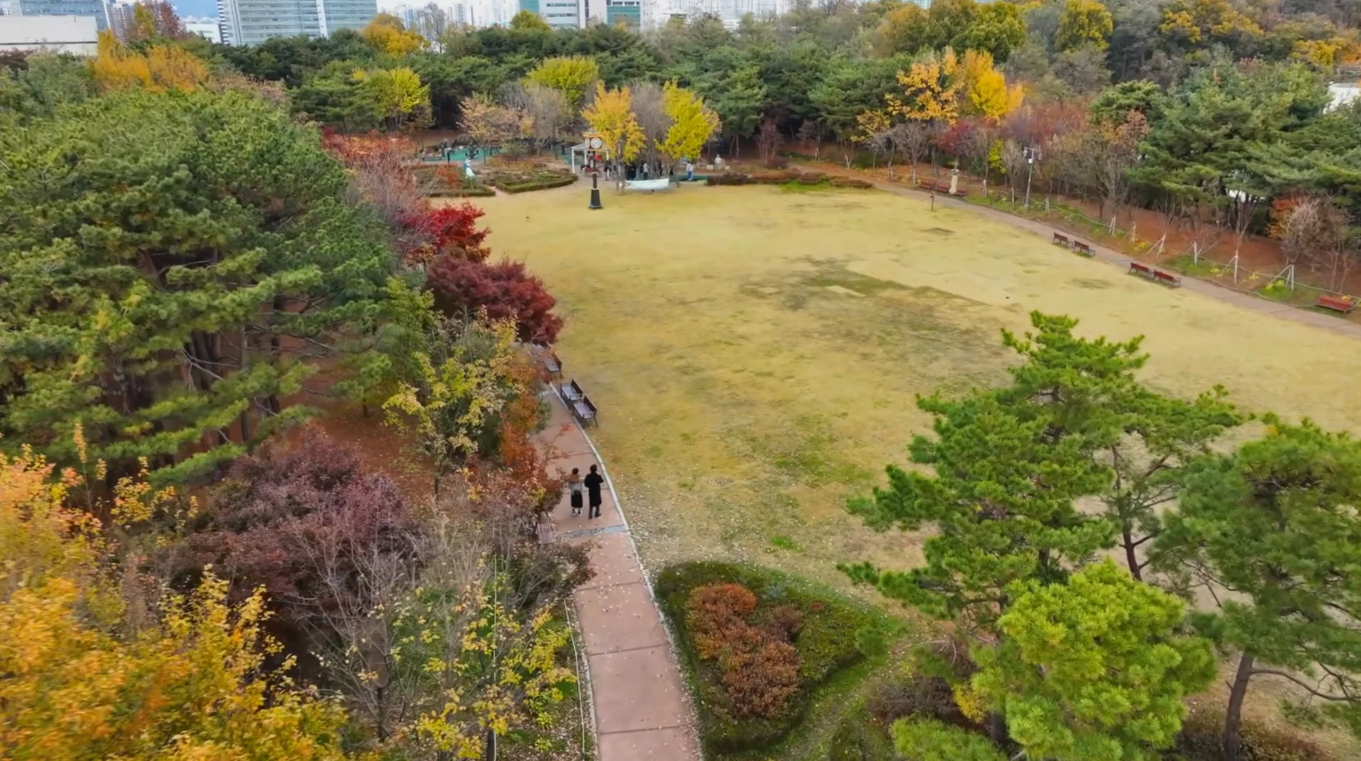 웨이브 연애남매 출연진 나이 직업 혈육 데이트 장소