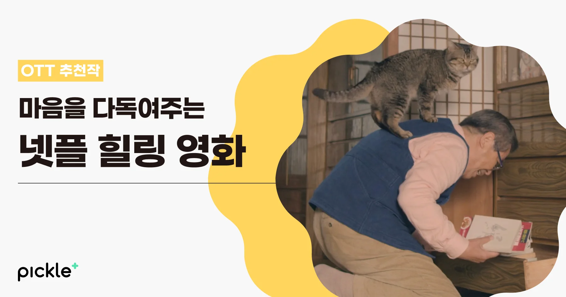 넷플릭스 계정 공유, 넷플릭스 싸게 보는 법, 넷플릭스 할인 방법, 넷플릭스 추천, 2024 넷플릭스 추천작